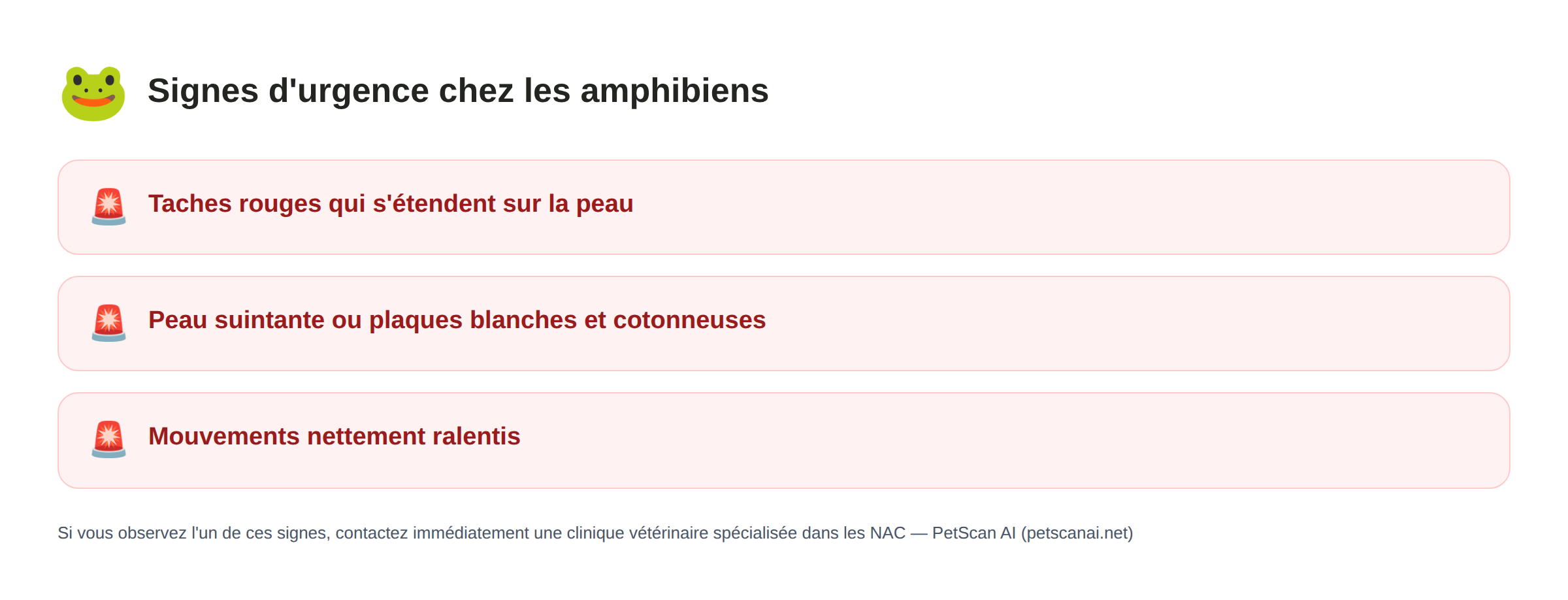 Amphibiens signes d'urgence : taches rouges qui s'étendent sur la peau, peau suintante ou plaques blanches et cotonneuses, mouvements nettement ralentis — PetScan AI