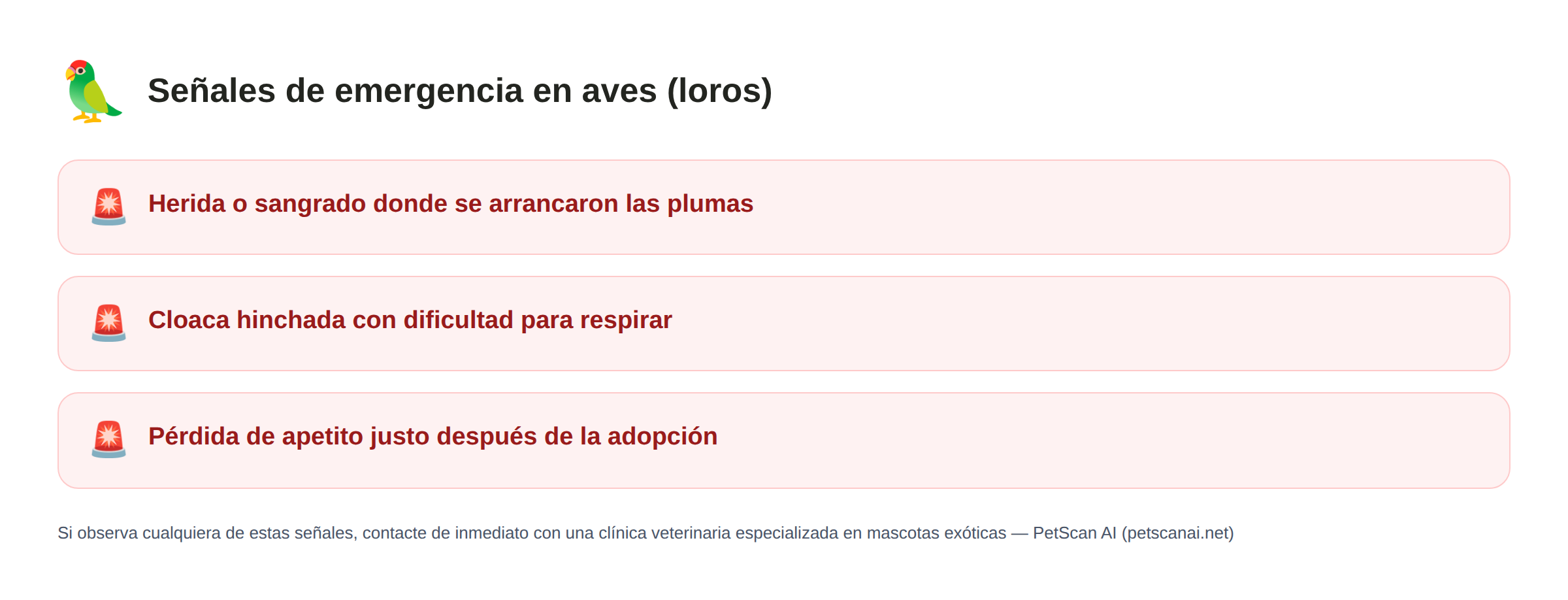 Señales de emergencia en aves (loros): Herida o sangrado donde se arrancaron las plumas, Cloaca hinchada con dificultad para respirar, Pérdida de apetito justo después de la adopción — PetScan AI